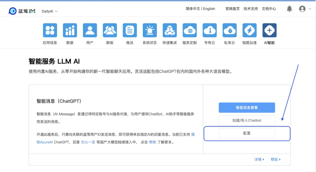 配置-自定义供应商-BYOK